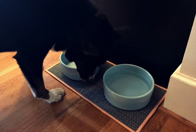 DIY Waterproof Pet Water Dish Mat