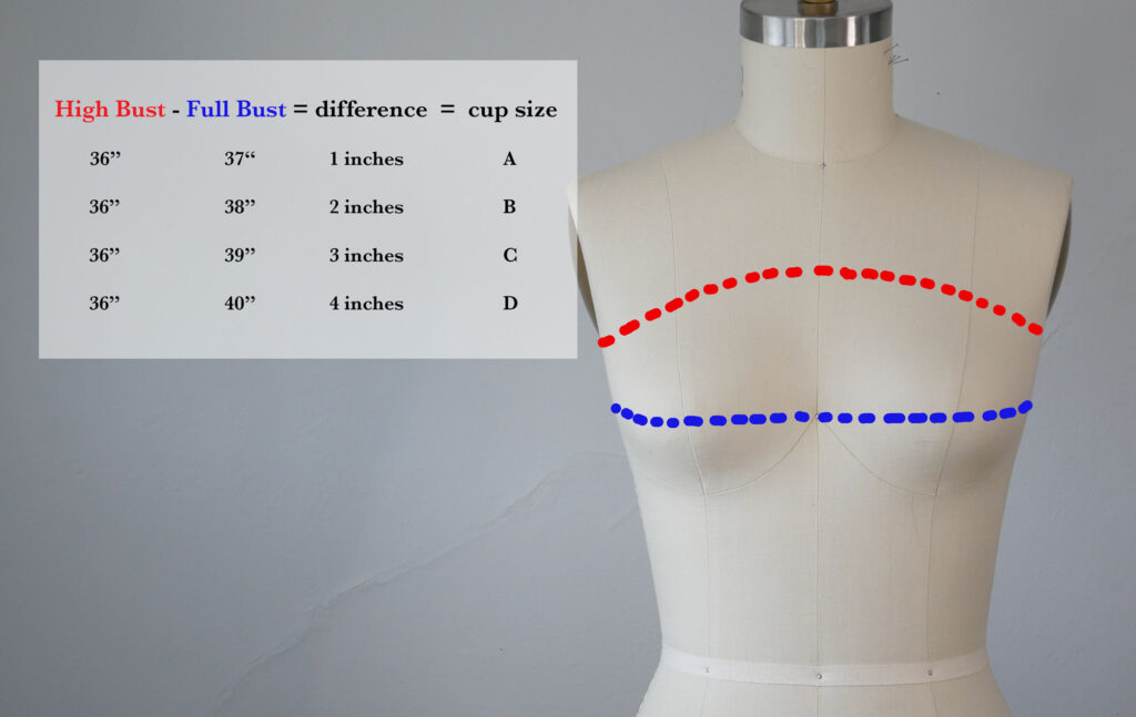 measure your high bust and your full bust